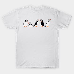 Graphic Nature - Puffins T-Shirt